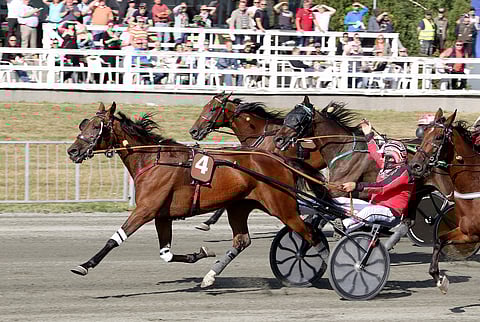 Anything For You tsemppasi hienosti Joensuu-ajon voittoon viime kesänä.