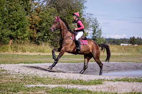 Arvi "Korumies" Martikainen ratsasti tänään Suomen mestariksi.
