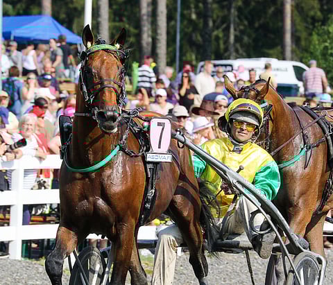 St Michelin sankarin Face Time Bourbonin varsoja on myynnissä Solvallassa. Kuva: Anu Leppänen
