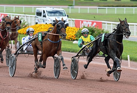 Go On Boy kirii ohi Vivid Wise Åsin. Kuva: Gerard Forni