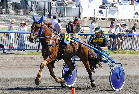 Helmin Hermanni on sopiva varma Teivoon.