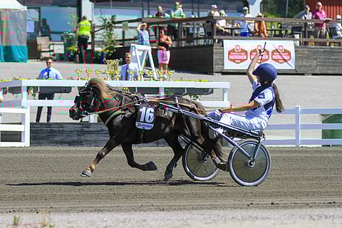 Thorvald on kohonnut ennätyskuntoon valmentajansa Maria Kiukkaan taitavassa hoivassa. Kuva: Roosa Lindholm