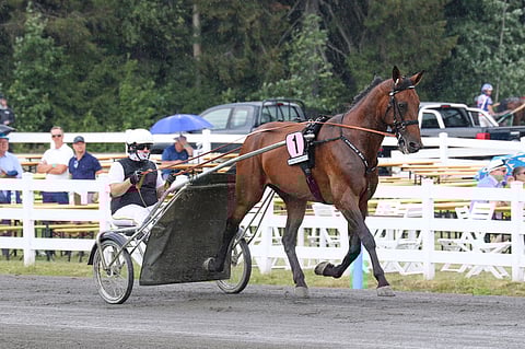 Ensimmäisenä St  Michel -hevosista kävi lämmittelemässä Vitruvio, mutta hoitajansa Simone Basanon ajamana, koska Alessandro Gocciadoron maahan pääsy viivästyi.