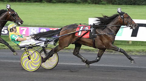 Dancinginthedark M ei aina pysy askelillaan, mutta menee ravilla valtavan lujaa. Kuva: HU arkisto