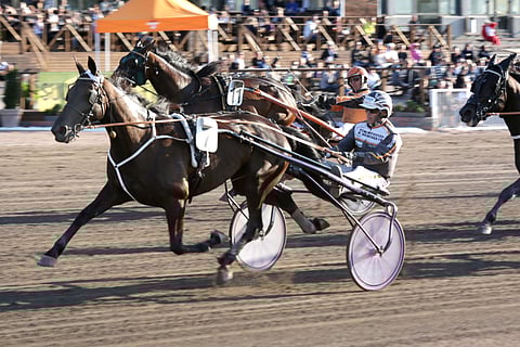 Seppo Markkulan ajama Grainfield Emma voitti ensimmäistä kertaa pääradallamme.