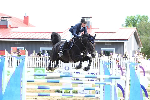 130 on tämän ratsukon mukavuusalue.