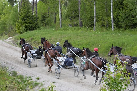 Ravivalmennuksen perusoppeja ammennetaan halukkaille elokuussa. Kuvituskuva: Totofoto
