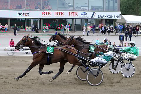 Kakkoskohteessa numerolla kaksi kilpaileva Was Vegaz on Linnunlahden Toto5-pelin suurin suosikki.