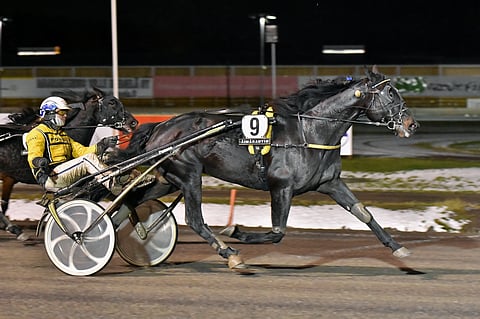 Enge Barack aloitti Matti Nisoselta mainiosti, mutta tällä kaudella voittoja ei ole tullut. Ura jatkuu uusissa käsissä.