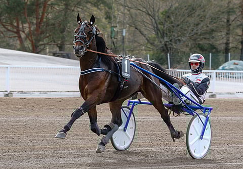 Finlandia-päivän Glenn Kosmos Memorialissa Vermossa vierailleen Power Blasterin hankosidevamma on nyt voitettu kanta.