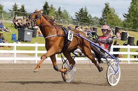 Roseland kirkastaa tänään viime startin hopean kullaksi.