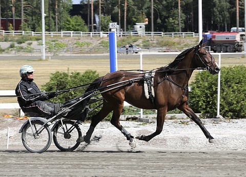 Stonecapes Violet lähestyy hyvää vauhtia starttikuntoa.