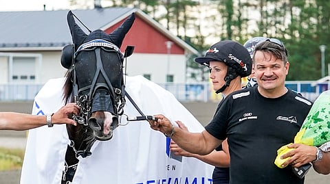 Mika Haapakankaan valmentama Tattoo Avenger voitti viime kesänä Kaustisella T75-lähdön.