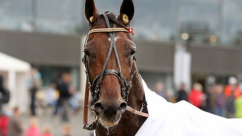 Unique Creation on helppo valinta varmaksi. Muissa kohteissa luotetaan myös yllättäjiin.