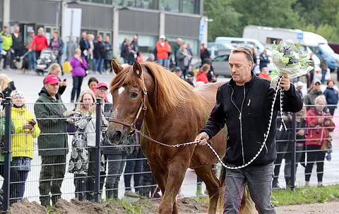 Kari Ahokas toi rakkaan ystävänsä Vieskerin yleisön ihasteltavaksi.