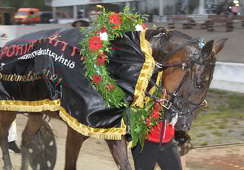 American Heroa juhlittiin viime vuonna Suurmestaruuden voittajana.