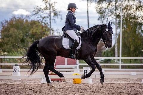 Kaisa-Maria Hänninen ja Katallin Legolas.