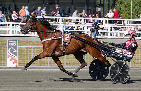 Vermossa keskiviikkona starttaavalla Maze Runnerilla on Suomesta neljä kakkossijaa, mutta ei vielä voittoja. Kuva: Anu Leppänen.