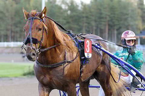 Siirin Valtsu ei antanut viimekertaisen tappion toistua, vaan kiri voittoon ajalla 27,7ake.