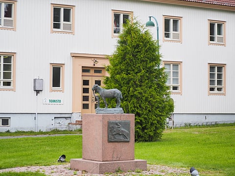 Hevosopisto riitautui entisen johtajansa kanssa. 