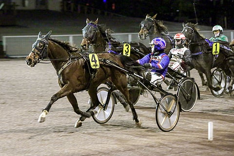 Lara Bokon Suomessa alkanut menestys on jatkunut Ruotsin ikäluokkalähdöissä Timo Nurmoksen tallista käsin.