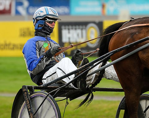 Mats Havulehdon ohjastama Zumu De La Vega on ideavihjeen tukipilari.
