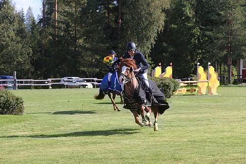 139 senttiä jalostusoria.