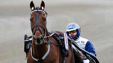 Jani Ruotsalaisen ohjastama Rebel Rapid on oiva ideavarma Mikkeliin.