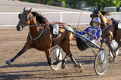 Meet Me In Shade on löytänyt hienon vireen loppuvuodesta.