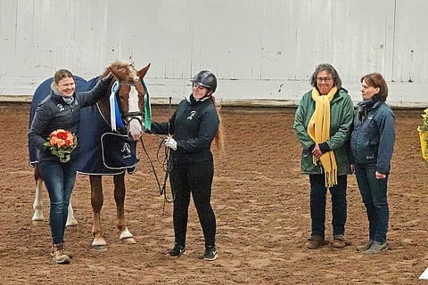 Ypäjä Paavo, laatuarvostelun paras kolmivuotias. Kuvassa myös Kaisa Kähö, Heidi Mattila ja tuomarit Marianna Paavolainen ja Susanna Frey.