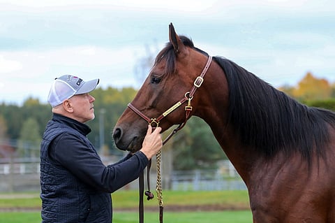 Tappioton ura jatkui orinäyttelyssä. Calgary Games ja Timo Nurmos. Kuva HU arkisto: Anu Leppänen