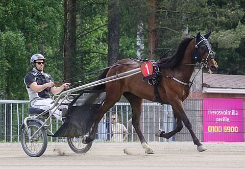 Strattonin ja Jarno Kauhasen yhteistyö tuotti 15 startista 3 voittoa ja 20 800 euroa.