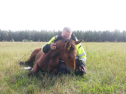 Mika Sohlberg ja kesällinen orivarsa BWT Joy (Harper Blue Chip - Ironia) kuvattuna Lohtajalla.