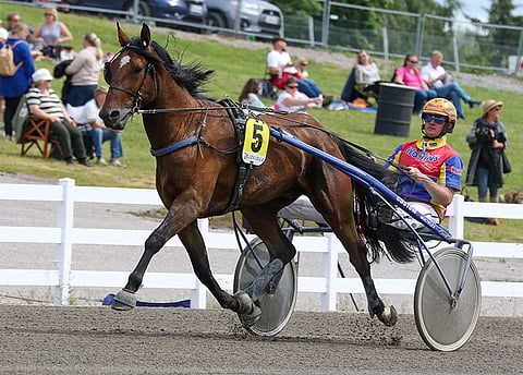 All Star Mint (arkistokuvassa Teemu Keskitalon ajamana) on torstain luottohevonen.