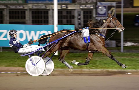 Antti Ruokonen narutteli Ibn Battutan yllätykseen.