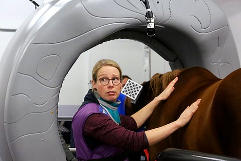 Perjantain Hevosurheilu kaikkien luettavissa verkossa: katso kuvat uuden sukupolven hevosröntgenistä