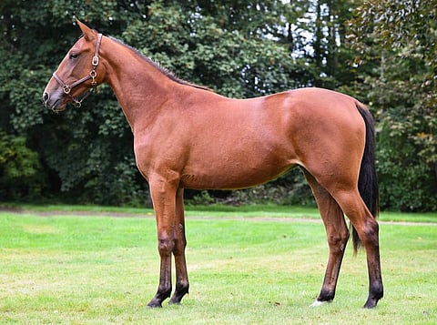 Maleficent River. Kuva: Åby