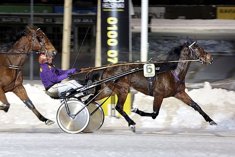 Slippery Runway avasi kauden Tapio Perttusen käsistä, mutta vaivaantui sen jälkeen ja on pitänyt maaliskuusta lähtien kilpailutaukoa.