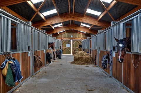 Kun loimet viikataan siististi karsinoiden oviin, koko talli näyttää siistimmältä.