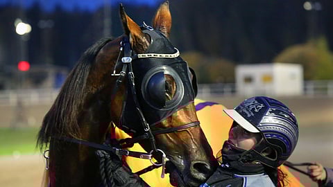 Werner Ors on 19-vuotiaan valmentaja-ohjastaja Siiri Mäkisen silmäterä. Ruunan viimeisin voitto tuli Mäkisen ohjastamana Juniorikypärien osalähdössä Vermossa pari viikkoa sitten. Porin Toto75-kierroksella hevosen ohjaksissa on Antti Teivainen. 