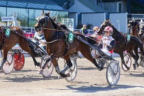 Nette's Ensio juoksi Breeders Coursen finaalissa Solvallassa täyden matkan kovaan aikaan 13,7, mutta se ei riittänyt kärkisijoihin.