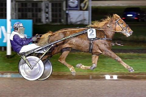 Eetu Rolsilta on totuttu näkemään aivan toisenlaisia esityksiä kuin viime perjantaina Turussa.