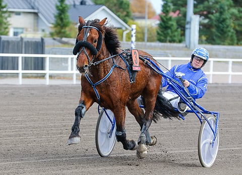 Janne Haapiaisen Humiro tienasi derbyvoitosta 45 000 euroa. Sen jälkeen menestys on ollut tiukassa.