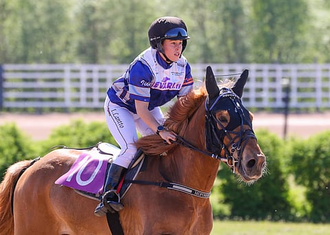 Iida Lanton valmennuksessa hevoset saavat tutustua myös raviratsastukseen. Kuvassa alla Mopoheikki.