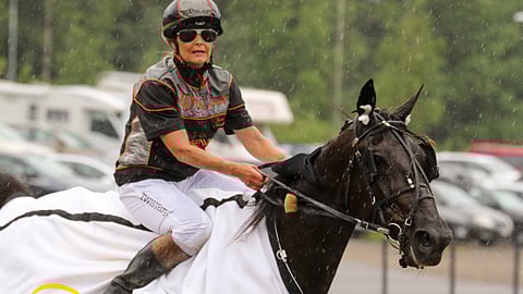 Dickson Shadow on kilpaillut menestyksekkäästi myös montéssa Jenni Koskelan ratsastamana.