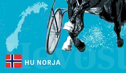 Keskiviikkona Bjerkessä karsittiin lämminverisiä derbyihin, torstaina ovat vuorossa kriteriumit.