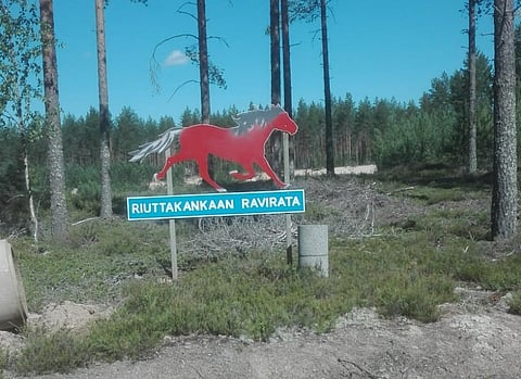 Pirkko Sydänmaa on ollut Multian raviradan ratatallissa vuokralla noin viisi vuotta.