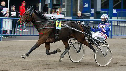 Carlos Santana on tehnyt ajallisesti tasaisen varmoja suorituksia ja viimeksi se poiki kauden avausvoiton. Tänään Kaarlo Wieser valmentama ruuna on ideavihjeen toinen varma.