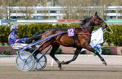 Samurai Comery palasi Suomeen.