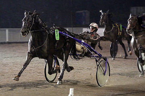 Midnight Prince voitti ensimmäistä kertaa maamme pääradalla.